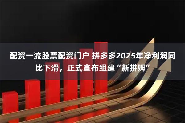 配资一流股票配资门户 拼多多2025年净利润同比下滑，正式宣布组建“新拼姆”