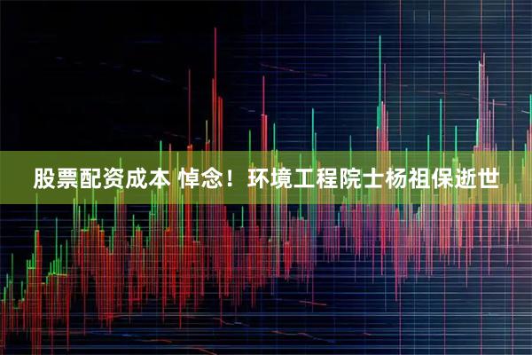 股票配资成本 悼念！环境工程院士杨祖保逝世